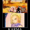 Krillin-Karma