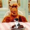 alf-eating-cat