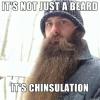 beard-chinsulation