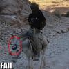 bmw-fail