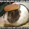 bunnypancake