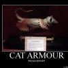 cat-armour