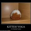 cat-does-yoga