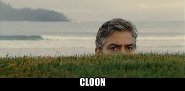 cloon