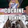 cocaine-alice-bear