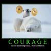 demotivational-courage