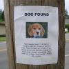 dog_found