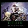 druid