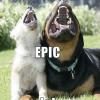 epic-lol