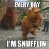 every-day-im-snufflin-shufflin