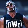 evil-hulk-hogan-nwo