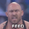 feed-me-more