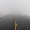 foggy-road