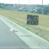 free_cat