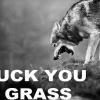 fuck-you-grass