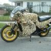 fur-motorcycle