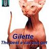 gilette