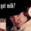 got-milk