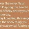 grammar-nazi