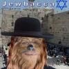 jewbacca