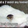 kitten-and-luck-dragon