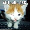 kitten-presses-ctrl-alt-grr