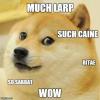 larp-doge