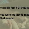 lazy-fact