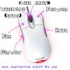 mymouse