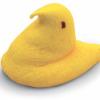 peep-medium-size