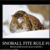 rule-number-one-for-throwing-snowballs