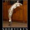 shoryuken