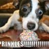 sprinkles