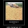 spuddenly