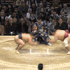 sumo-wrestling