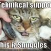 technical-support-cat-snuggles