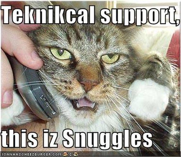 technical-support-cat-snuggles