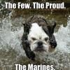 the-marines