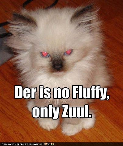 there-is-no-fluffy