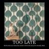 too-late