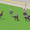 wierd-horse-race