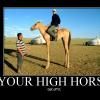 your-high-horse